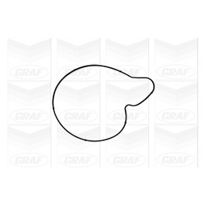 GRAF Wasserpumpe PA1050