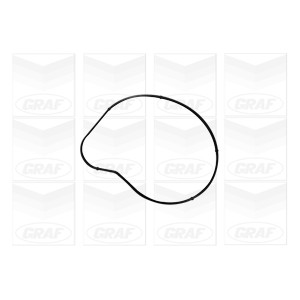 GRAF Wasserpumpe PA1058