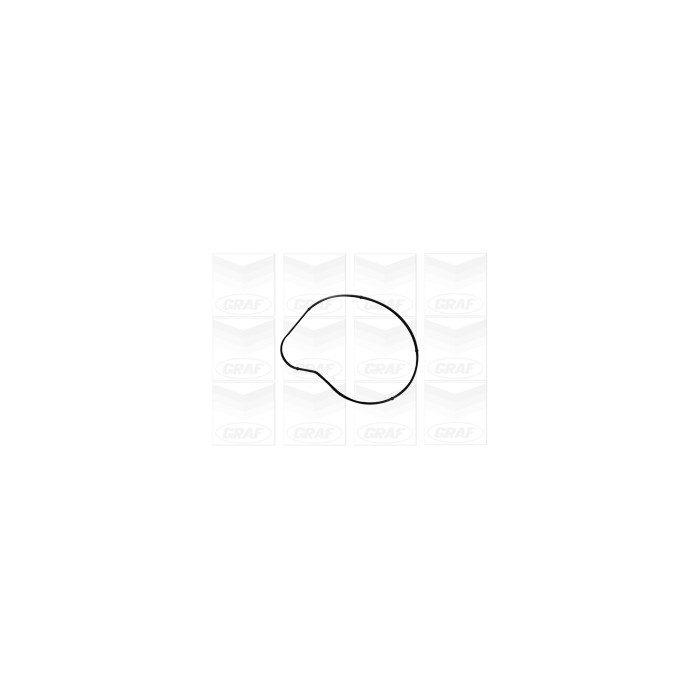 GRAF Wasserpumpe PA1058