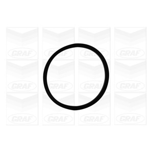 GRAF Wasserpumpe PA1060