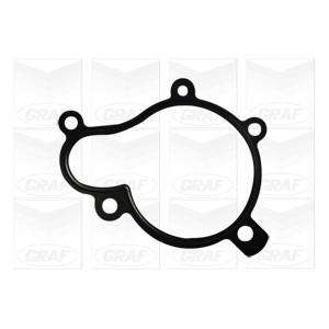 GRAF Wasserpumpe PA1063