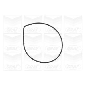 GRAF Wasserpumpe PA1072