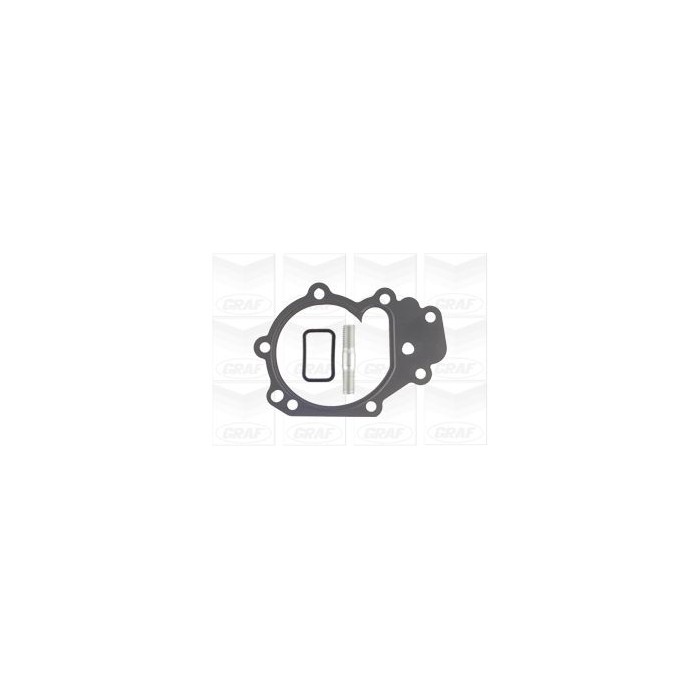 GRAF Wasserpumpe PA1075