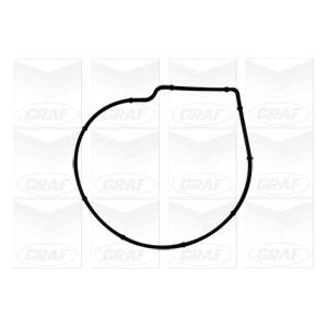 GRAF Wasserpumpe PA1076