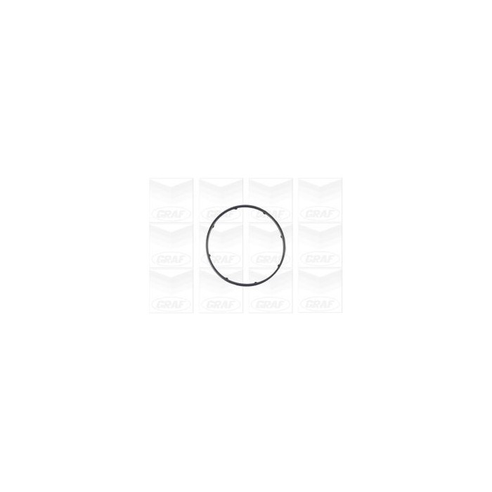 GRAF Wasserpumpe PA1083