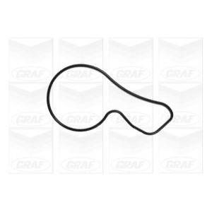 GRAF Wasserpumpe PA1092