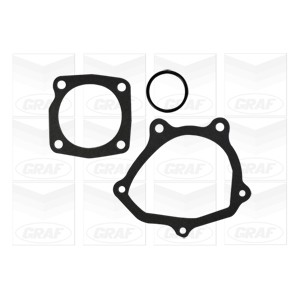 GRAF Wasserpumpe PA1101