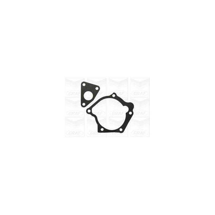 GRAF Wasserpumpe PA1106