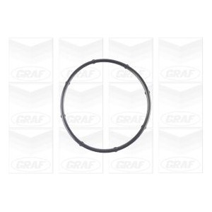 GRAF Wasserpumpe PA1125