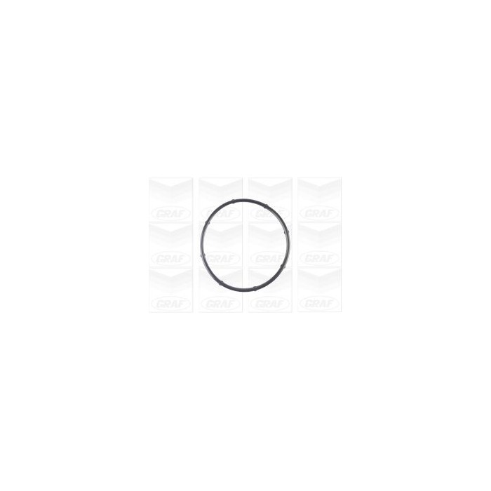 GRAF Wasserpumpe PA1125