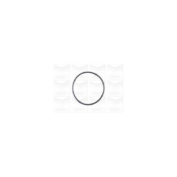 GRAF Wasserpumpe PA1125