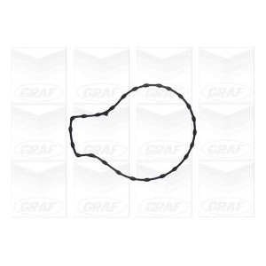 GRAF Wasserpumpe PA1134