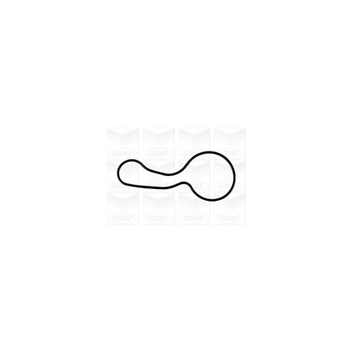 GRAF Wasserpumpe PA1149