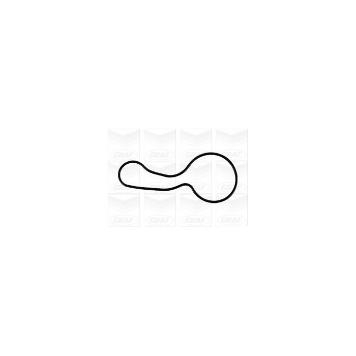 GRAF Wasserpumpe PA1149