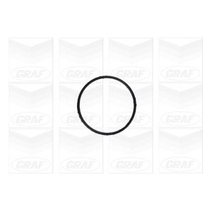 GRAF Wasserpumpe PA1155