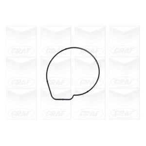 GRAF Wasserpumpe PA1167