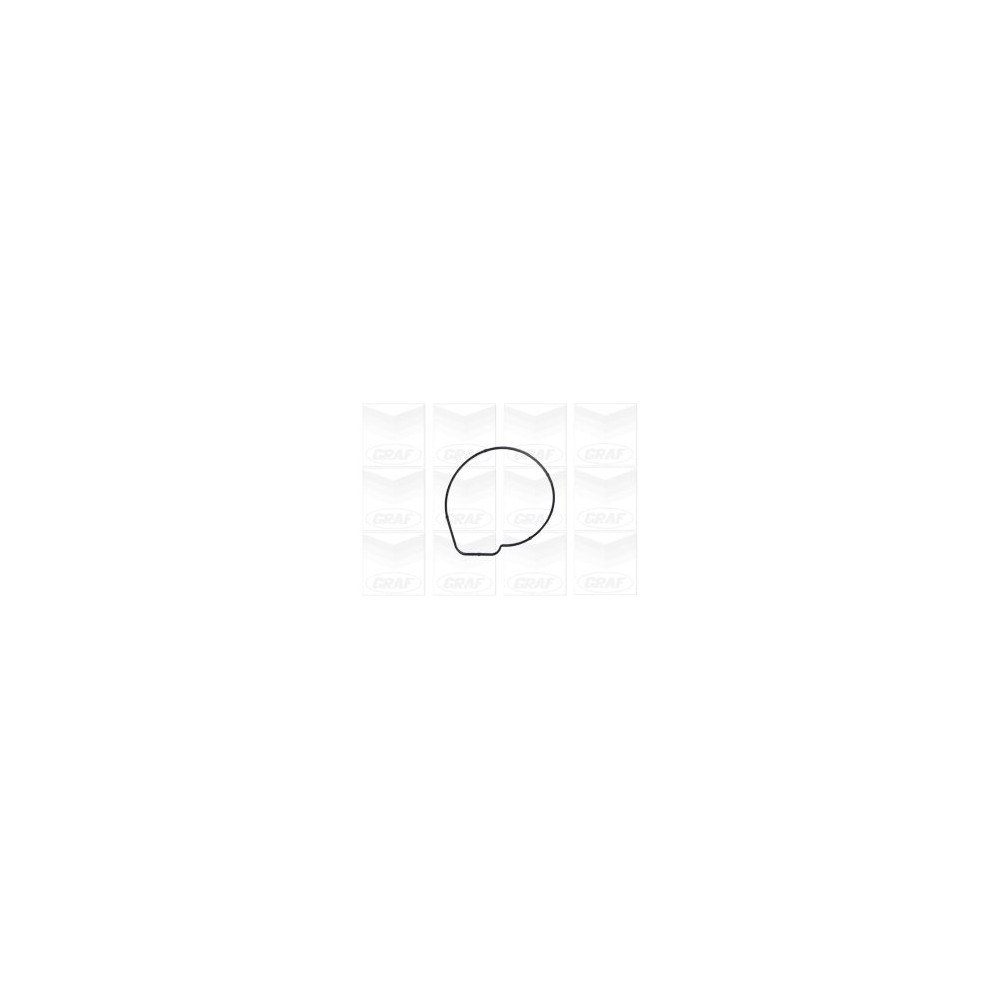 GRAF Wasserpumpe PA1167