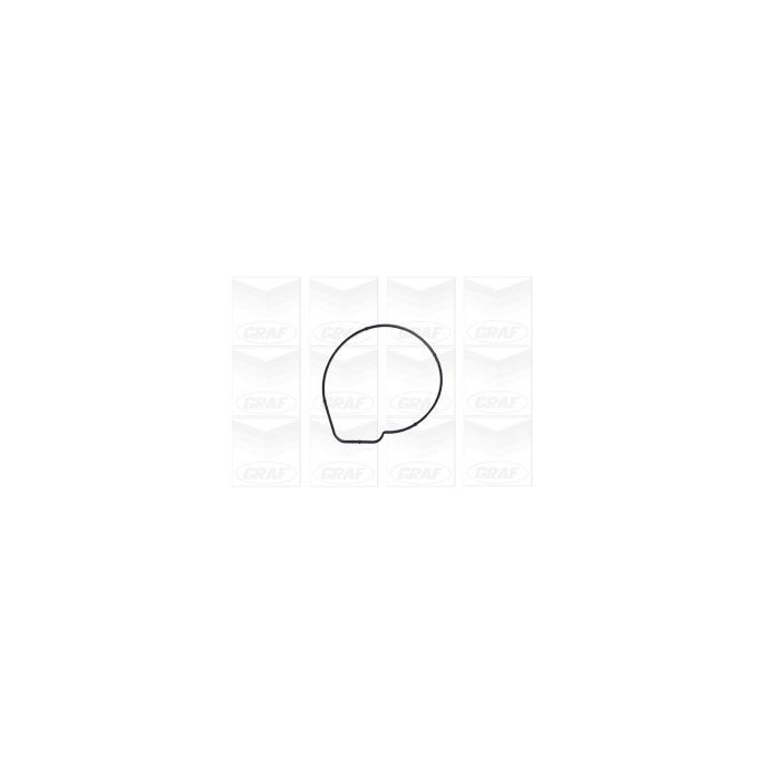 GRAF Wasserpumpe PA1167