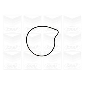 GRAF Wasserpumpe PA1179