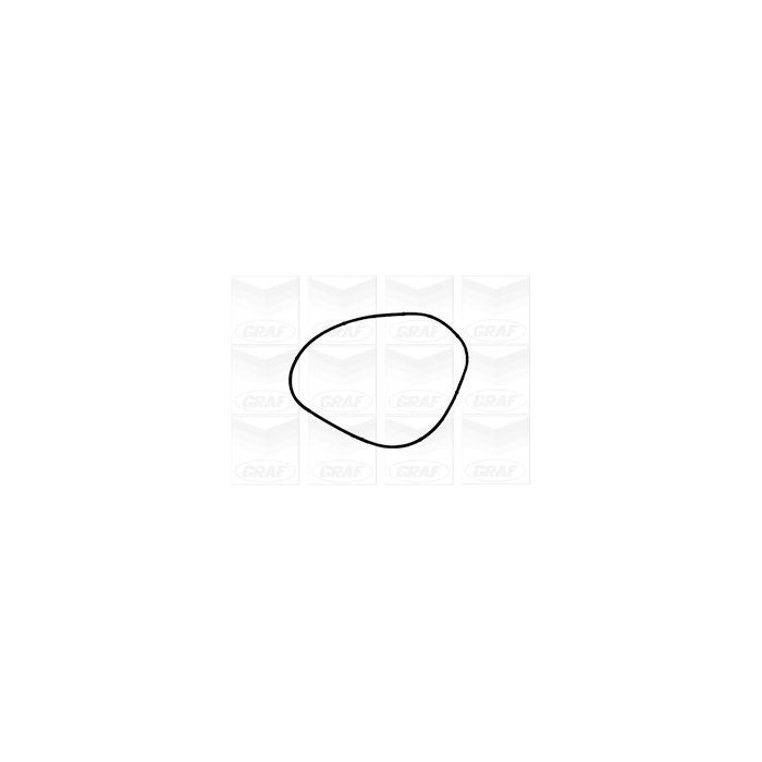 GRAF Wasserpumpe PA1216