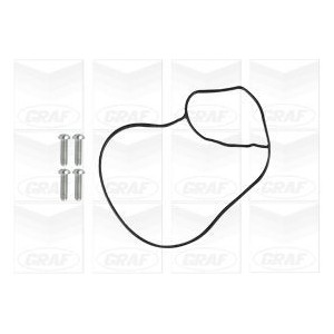 GRAF Wasserpumpe PA1246