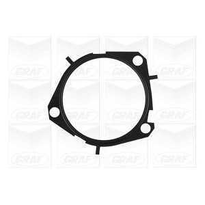 GRAF Wasserpumpe PA1352