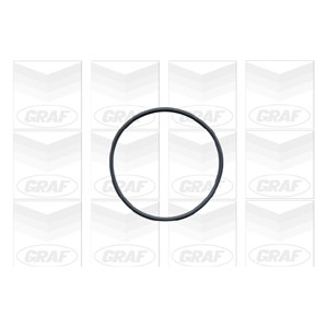 GRAF Wasserpumpe PA148