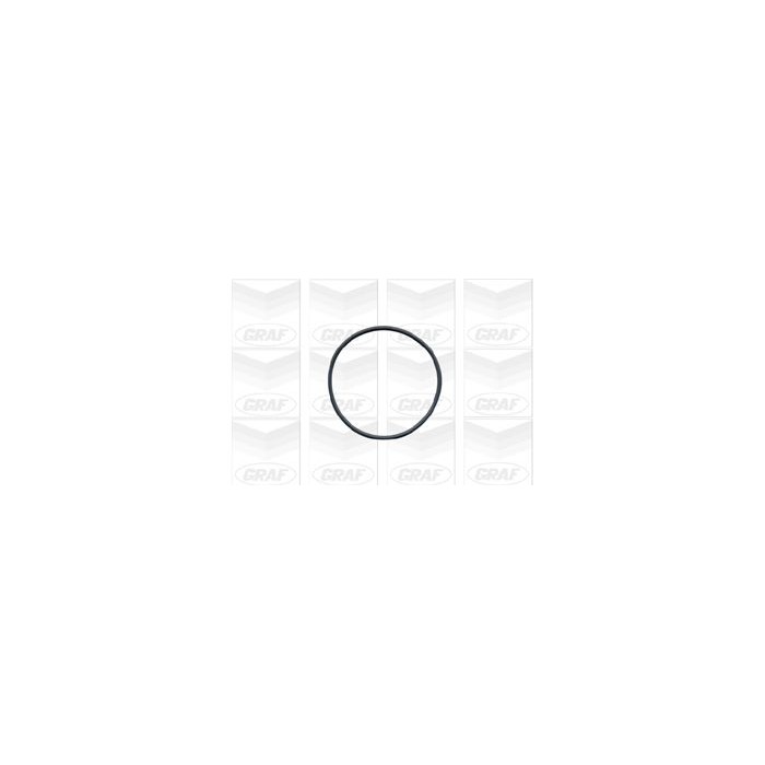 GRAF Wasserpumpe PA148