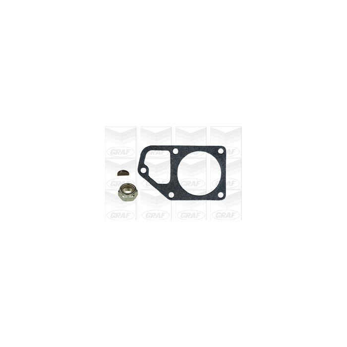 GRAF Wasserpumpe PA189