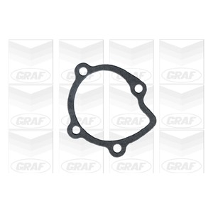 GRAF Wasserpumpe PA197