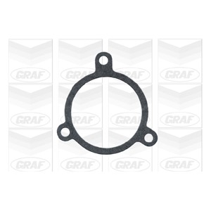 GRAF Wasserpumpe PA243