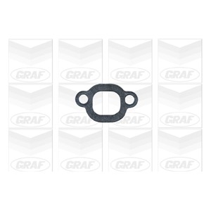 GRAF Wasserpumpe PA305