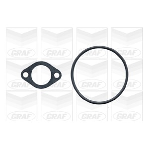 GRAF Wasserpumpe PA317