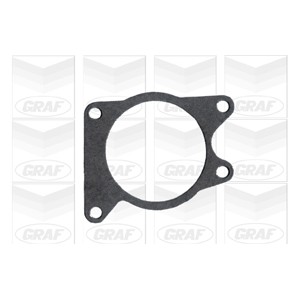 GRAF Wasserpumpe PA321