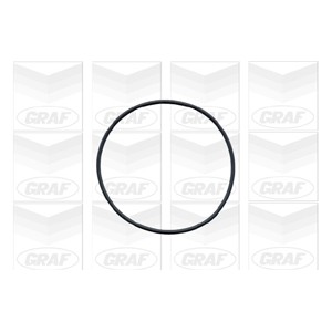 GRAF Wasserpumpe PA325