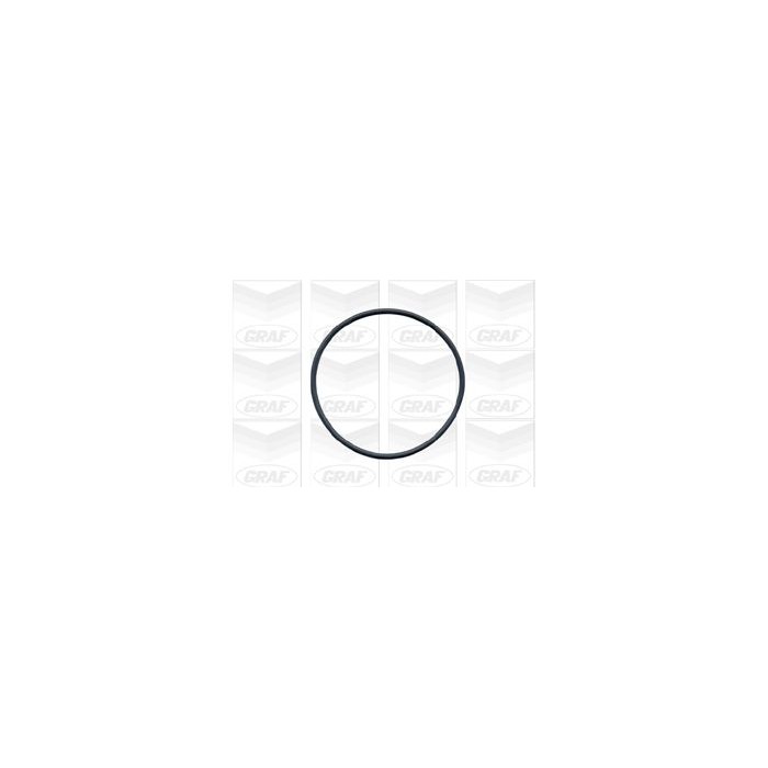 GRAF Wasserpumpe PA422