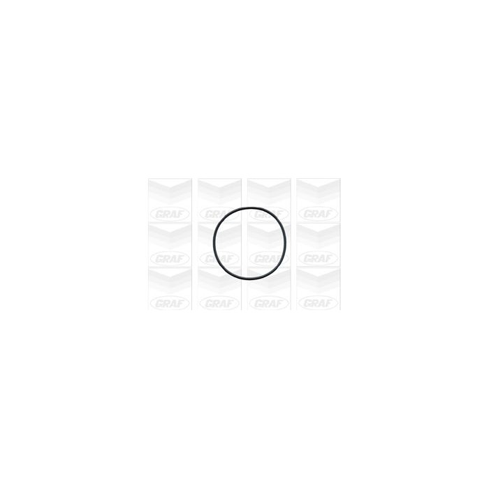 GRAF Wasserpumpe PA491