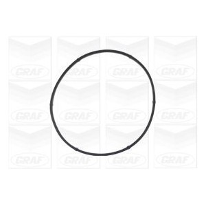 GRAF Wasserpumpe PA541A