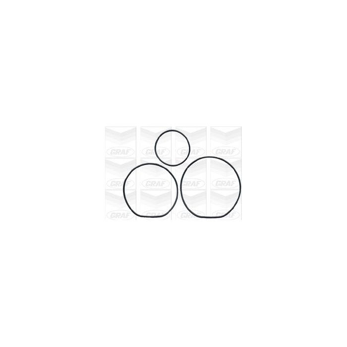 GRAF Wasserpumpe PA562