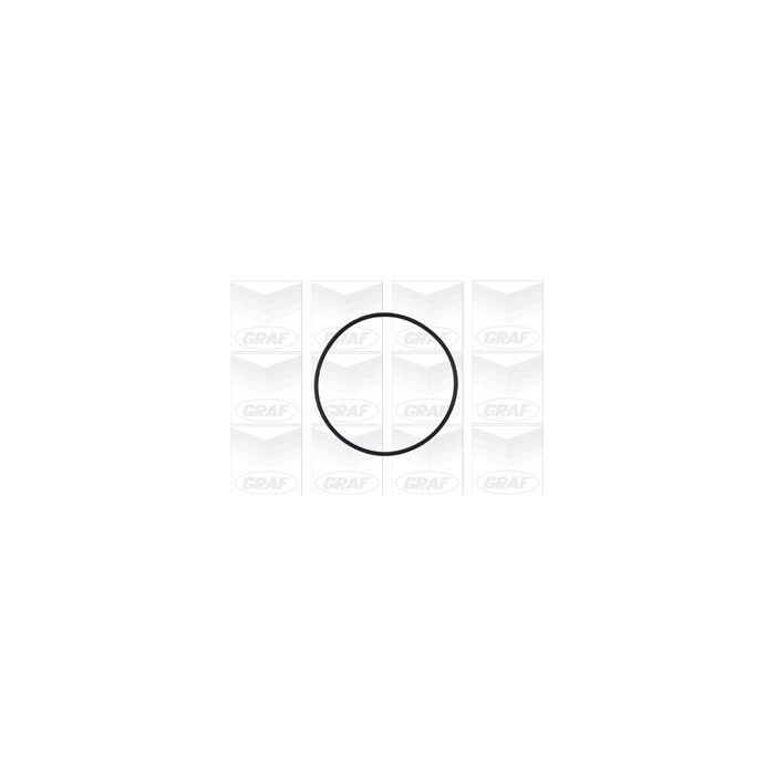 GRAF Wasserpumpe PA572A