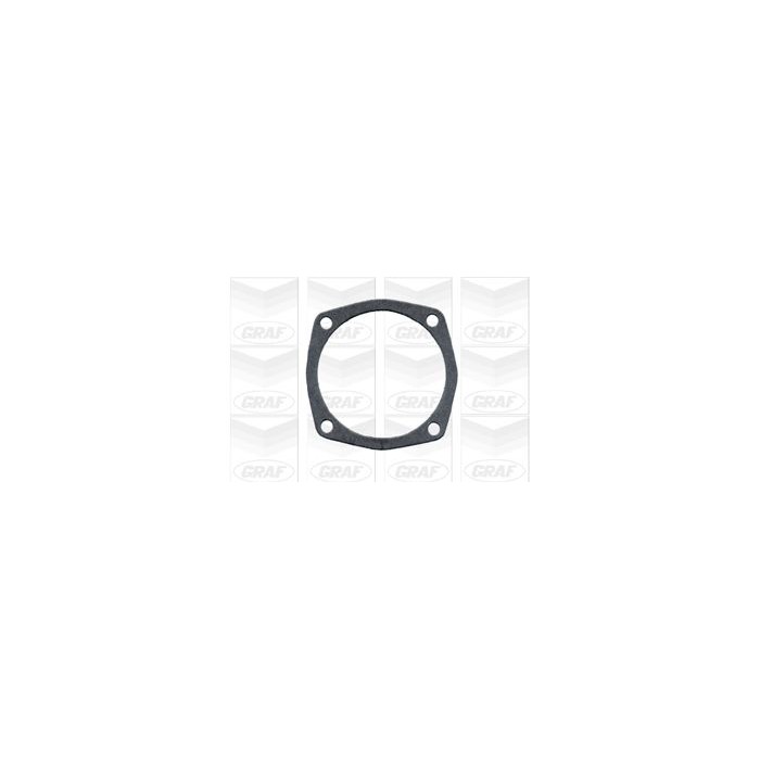 GRAF Wasserpumpe PA575