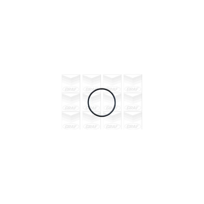 GRAF Wasserpumpe PA603