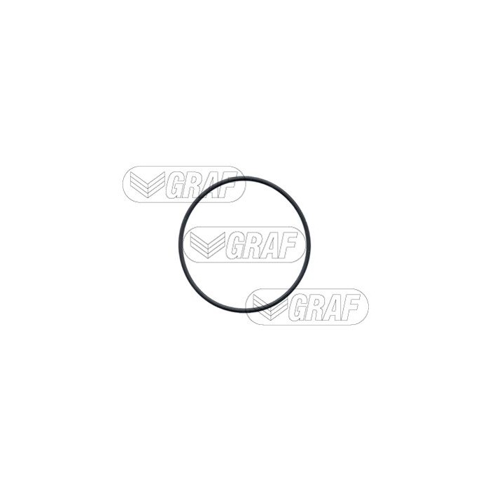 GRAF Wasserpumpe PA683