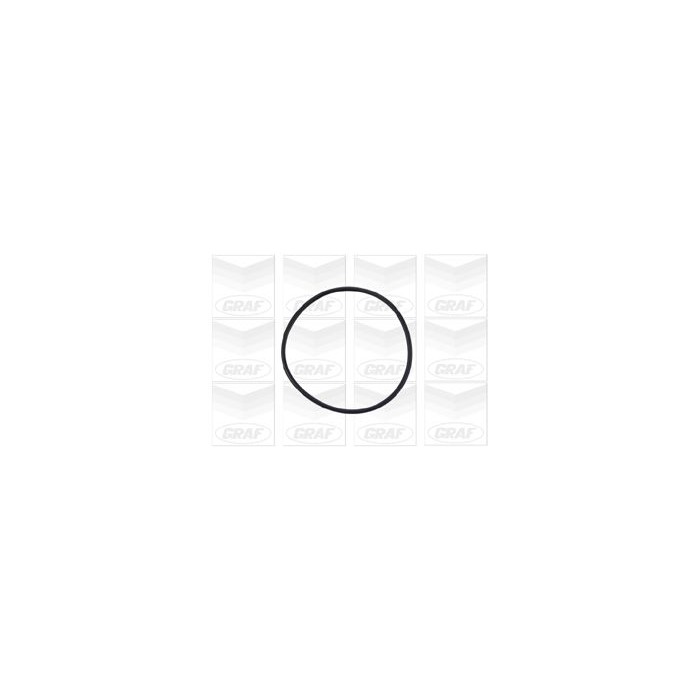 GRAF Wasserpumpe PA730