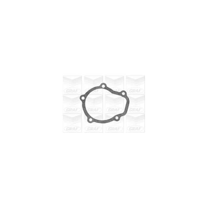 GRAF Wasserpumpe PA738