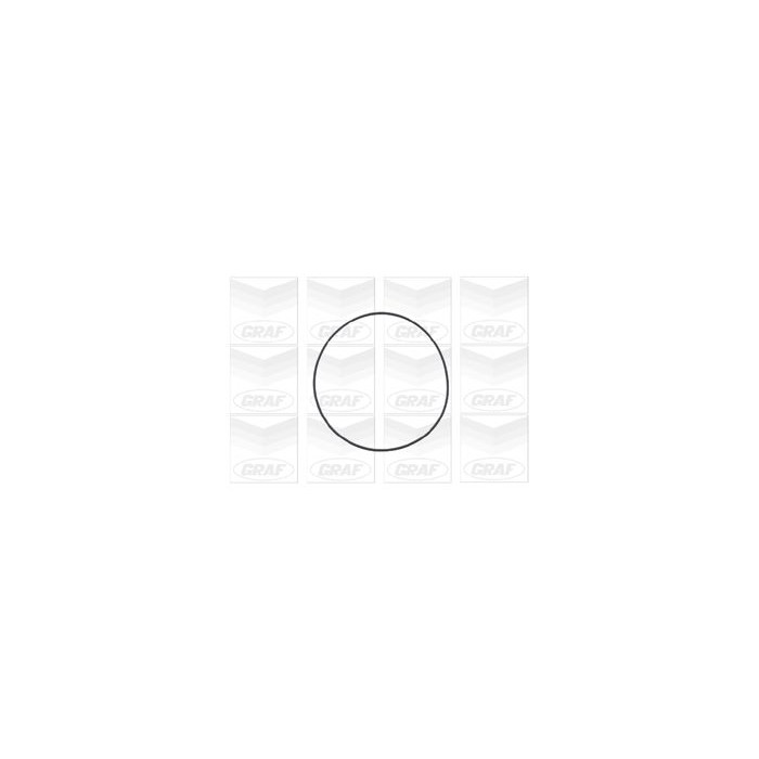 GRAF Wasserpumpe PA802