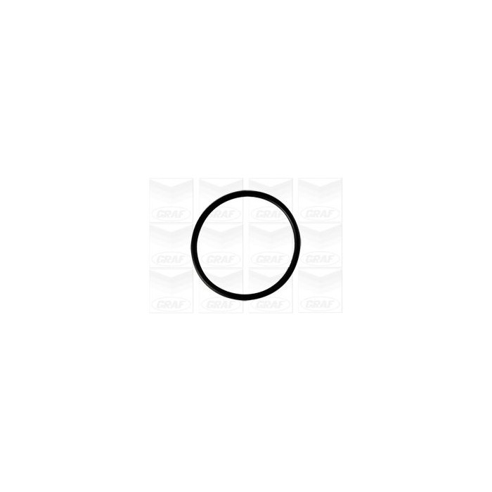 GRAF Wasserpumpe PA806