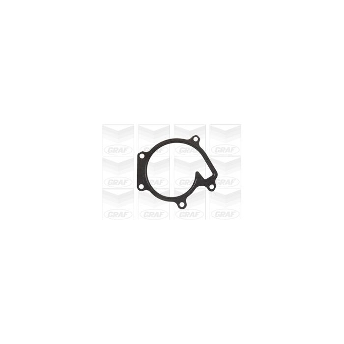 GRAF Wasserpumpe PA827
