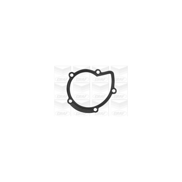 GRAF Wasserpumpe PA861