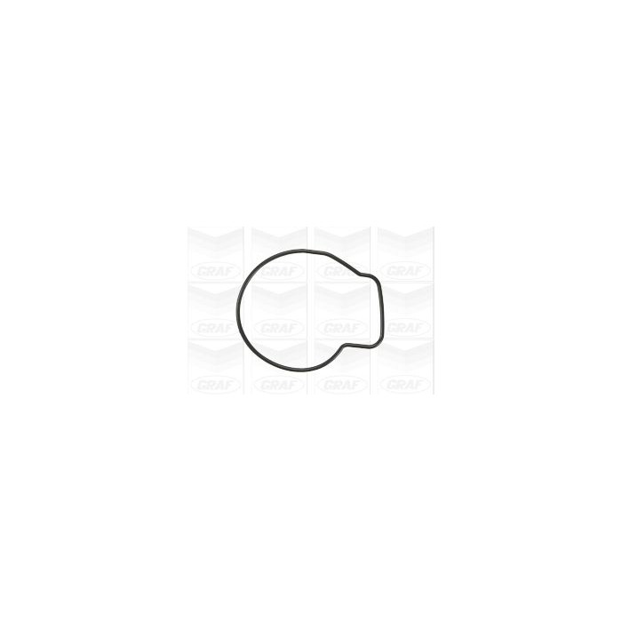 GRAF Wasserpumpe PA876